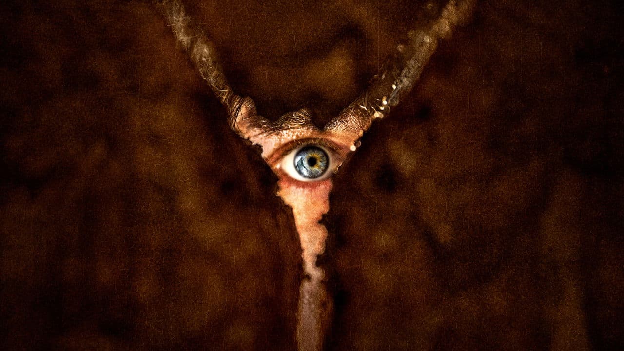 An image from Return to Silent Hill