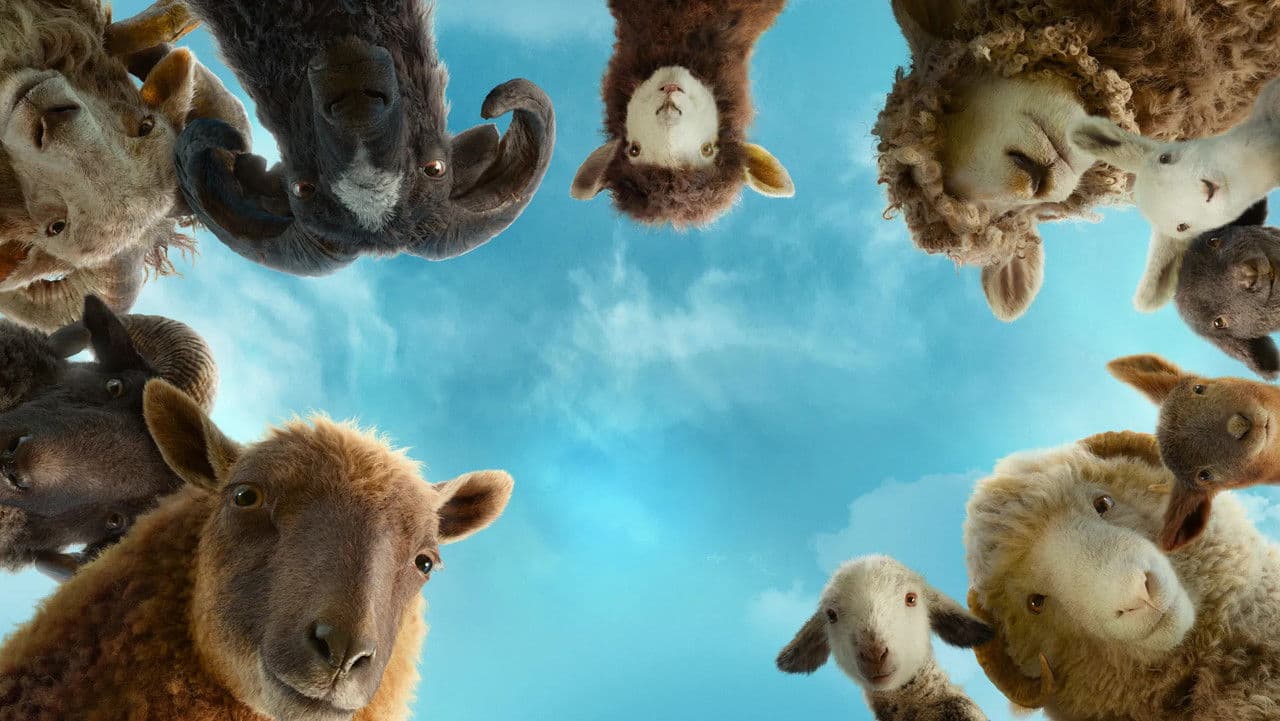 An image from The Sheep Detectives