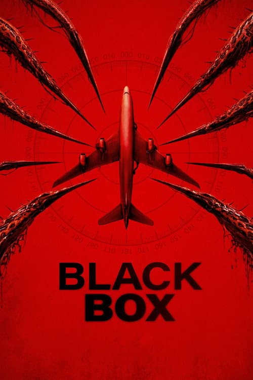 The poster of Black Box
