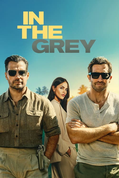 The poster of In the Grey